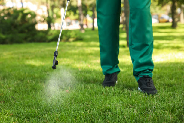 Best Mosquito Control Services  in Cave City, KY