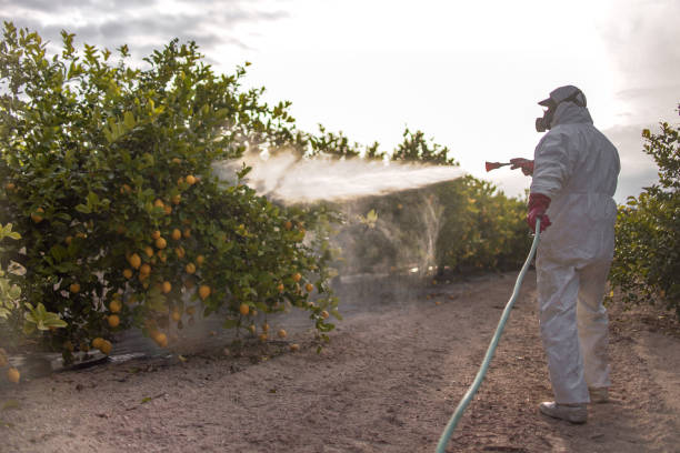 Best Pest Removal Services  in Cave City, KY