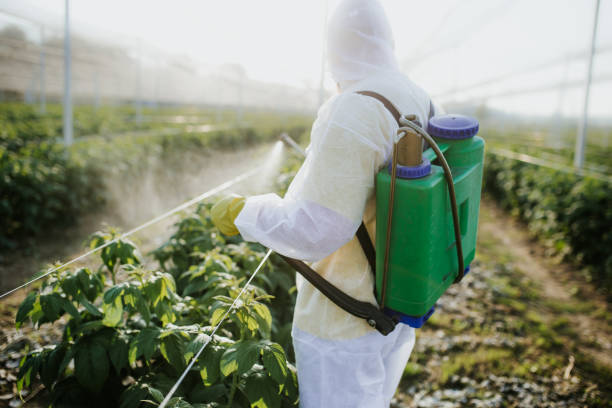 Wasp Removal Services in Cave City, KY